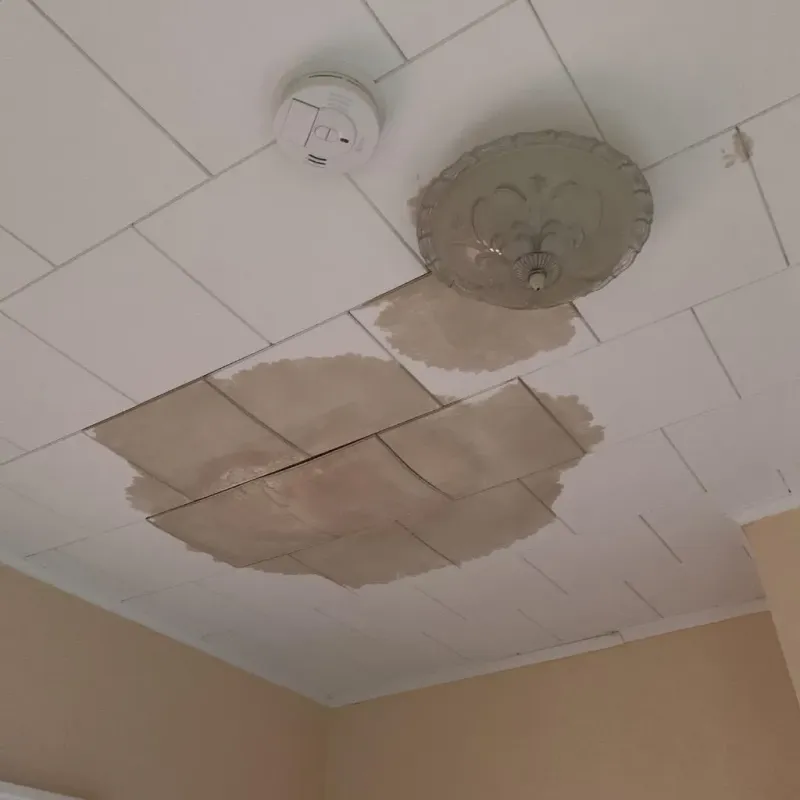 Ceiling Water Damage Repair in Texas City, TX
